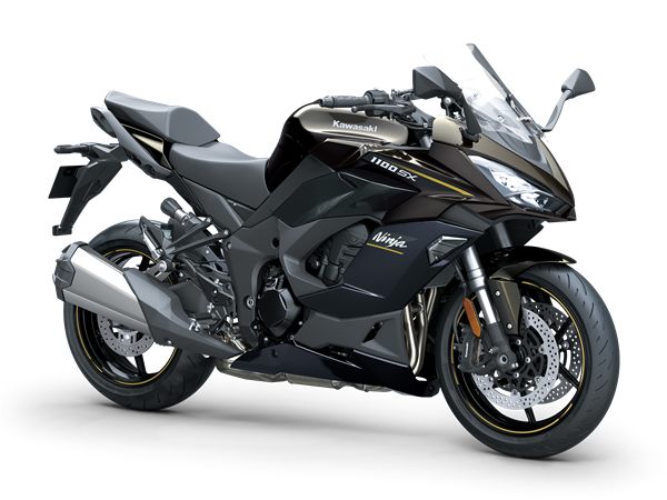 Metallic Brilliant Golden Black / Metallic Carbon Gray (BK1)